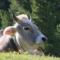 Südtirol 2026